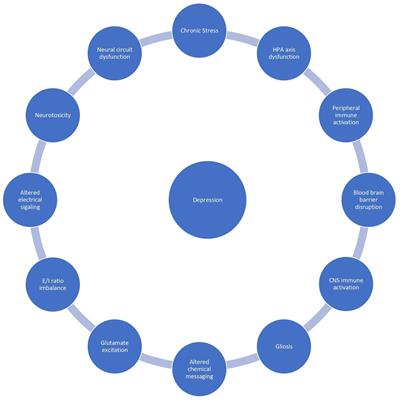 Chronic stress, neuroinflammation, and depression: an overview of pathophysiological mechanisms and emerging anti-inflammatories